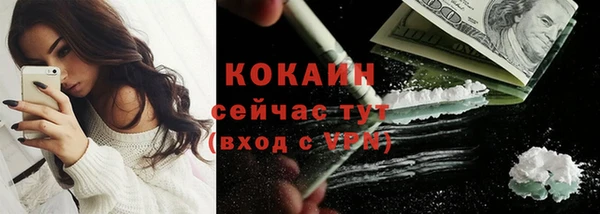 соль ск Белокуриха