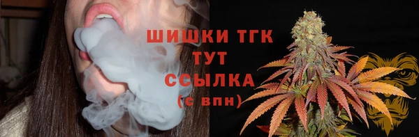 мдпв Усинск