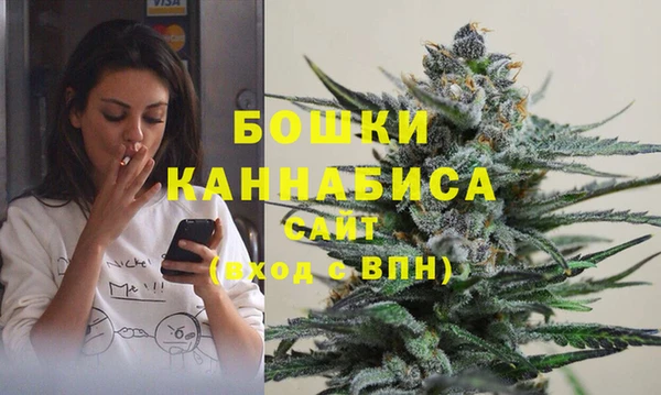 соль ск Белокуриха