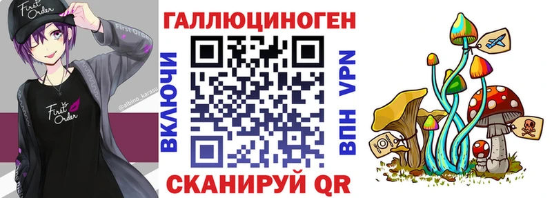 купить закладку  Корсаков  omg вход  Псилоцибиновые грибы Cubensis 